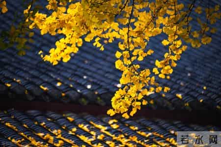 话题作文怎么写,写作技巧--这三招，教你写好“话题作文”（技法+真题+范文）