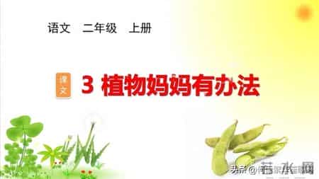 凤仙花妈妈有个好办法仿写,凤仙花妈妈有个好办法仿写课文四行