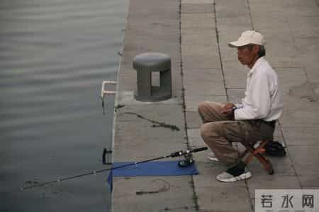 新华走笔丨海河的四季