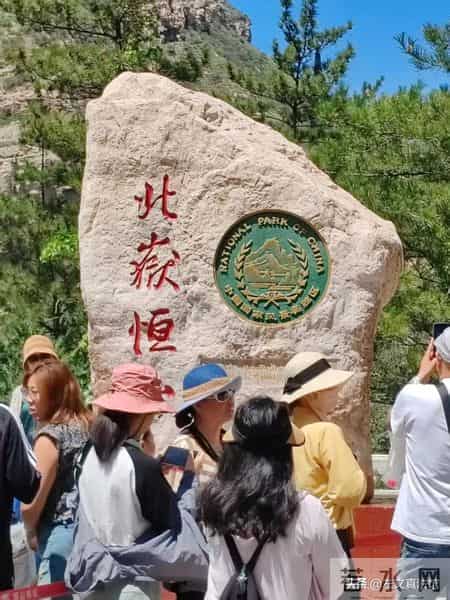 委托书委托个人模板