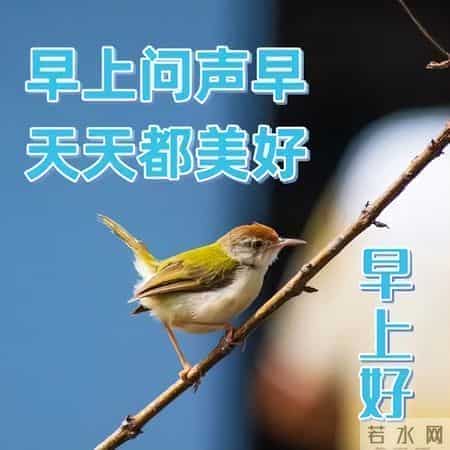 最新早上好祝福每天一句，早安暖心牵挂的句子，吉祥如意伴你左右