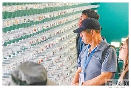 奇趣植物在我家