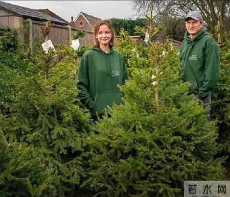 圣诞故事,寒冷的冬天，还好有这一波跟圣诞有关的治愈小故事