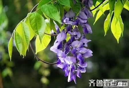 人生如戏亦如梦