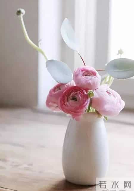 20种花材的插花方法，不会插花看这里