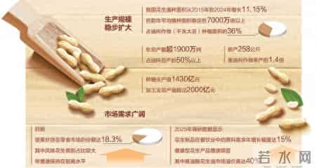 六年级作文变形记500字