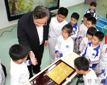 小苗与大树的对话教案,大树与小苗的对话