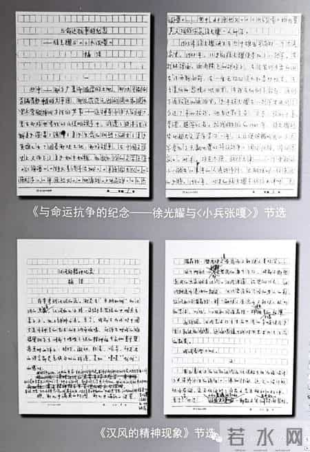 楼兰的忧郁读后感,乡情悠悠寄芳华