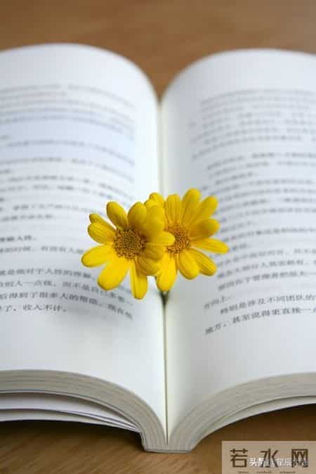 读书的好处英语作文