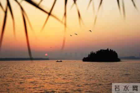 诗词｜99句唐诗，邂逅99种情思，总有一句，让你心动！