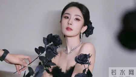 感恩2021展望2022