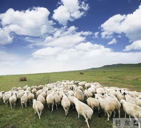 组诗丨庆“三八”妇女节诗歌