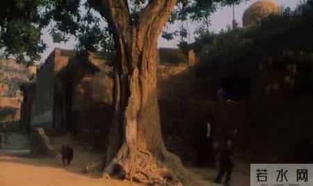 背起爸爸上学,背起爸爸上学高清完整版