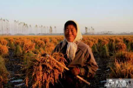 看！这幸福的百元大钞