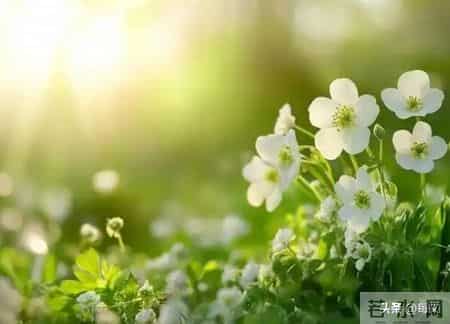 我向往的地方,趁时间还可丈量，不如轻装，走到想去的地方，看看心里的向往