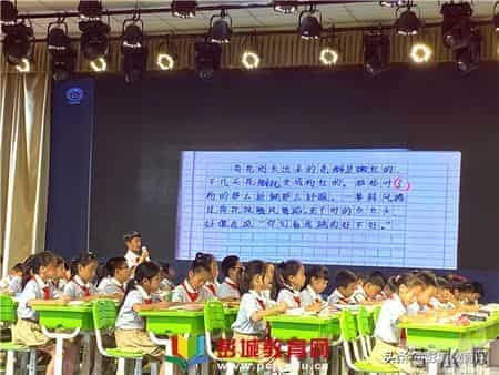 刘集实验小学：兰靖老师研讨课《爬山虎的脚》