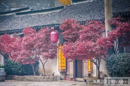 8首寒衣诗词：唯爱与温暖，不可辜负