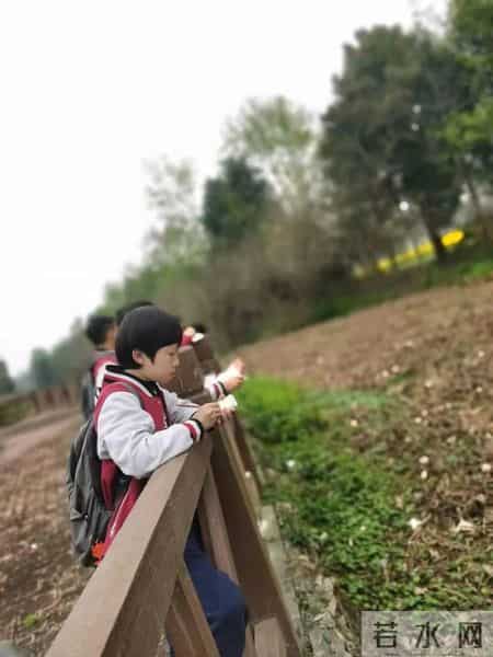 春天的课堂,赏春. 品春. 惜春 ——走进“春天的课堂”