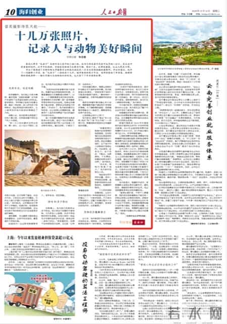 人与动物系列,人与动物系列爽文