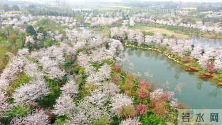 「出游好时节·遇见荆门」给你的心灵放个假，来荆门这些地方，寻觅田园诗意慢生活