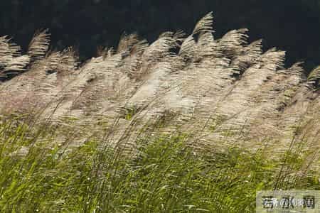 公输原文,公输原文朗读视频