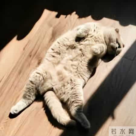 幸福最终话,最终的幸福生活