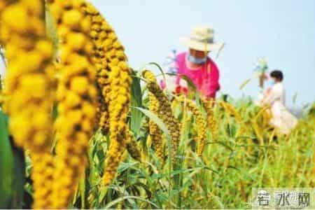 看！这幸福的百元大钞