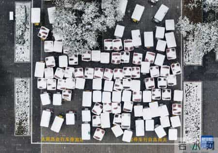 雪中即景作文,雪中即景作文350字