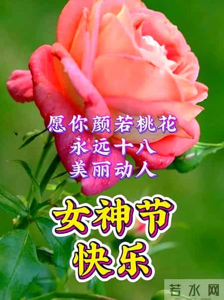 女神节活动方案宣传语,女神节活动方案策划