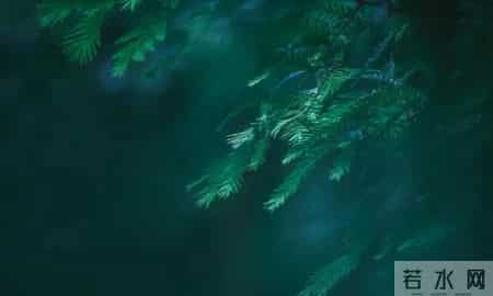 清明节的节日意义,清明为什么要去扫墓？这是我听过的最好答案