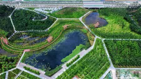 变形记600字,变形记600字可抄免费