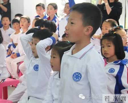 小苗与大树的对话教案,大树与小苗的对话