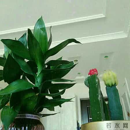 给未来自己的一封信——3