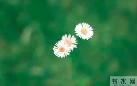 生日感谢词,用高情商的生日感谢语言，传递真挚的祝福