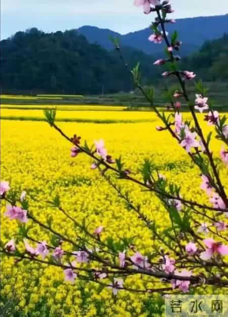 优美写景散文,优美写景散文摘抄600字左右