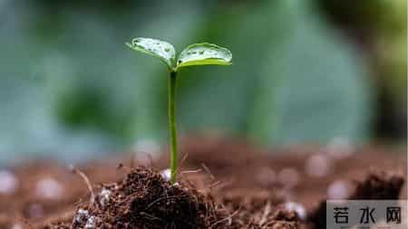 儿童节｜让童心在岁月中绽放