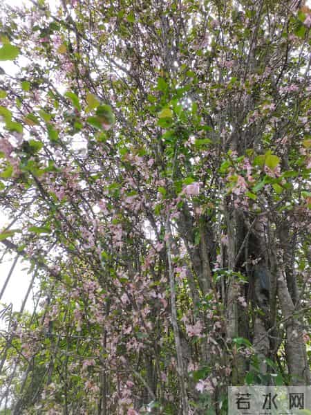 雨后故事,雨后的故事