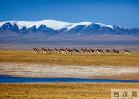 借物喻人的作文400