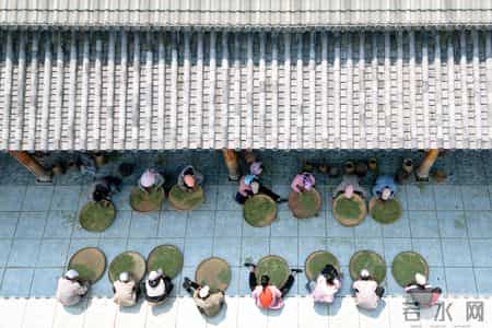 让真情自然流露作文450字左右,我的光影故事2025｜在无量山间，我用镜头读懂乡土中国