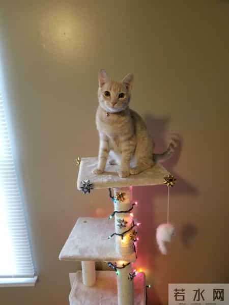 圣诞故事,寒冷的冬天，还好有这一波跟圣诞有关的治愈小故事