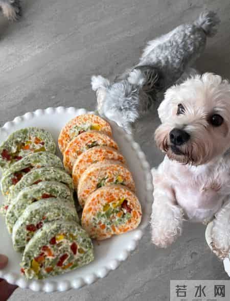 新春走基层｜留深5年，给“毛孩子”过个温暖年