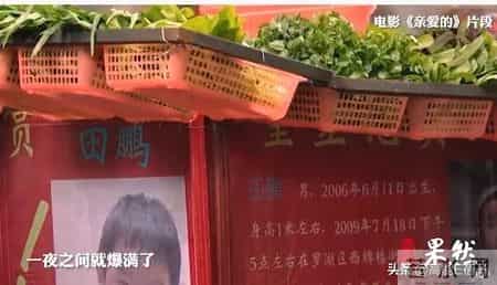 亲爱回家,苦寻14年，《亲爱的》小孩终回家