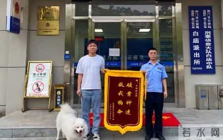 “长得超帅,追款还快!”这些花式锦旗火了,主打一个真诚