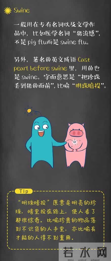 pig是什么意思,piggy是什么意思