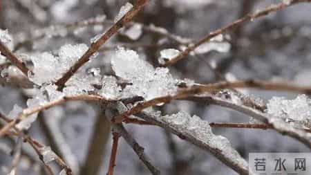 每天都是一首诗,每天一首诗献给齐鲁壹点