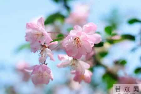 儿童节｜让童心在岁月中绽放