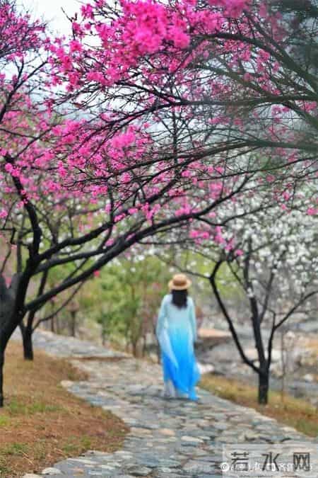 牵挂的作文,壹点号母亲节征文-牵挂