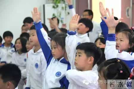 小苗与大树的对话教案,大树与小苗的对话