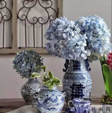 20种花材的插花方法，不会插花看这里