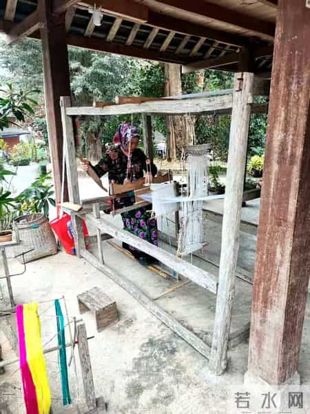 美丽的西双版纳作文,美丽的西双版纳作文400野象谷